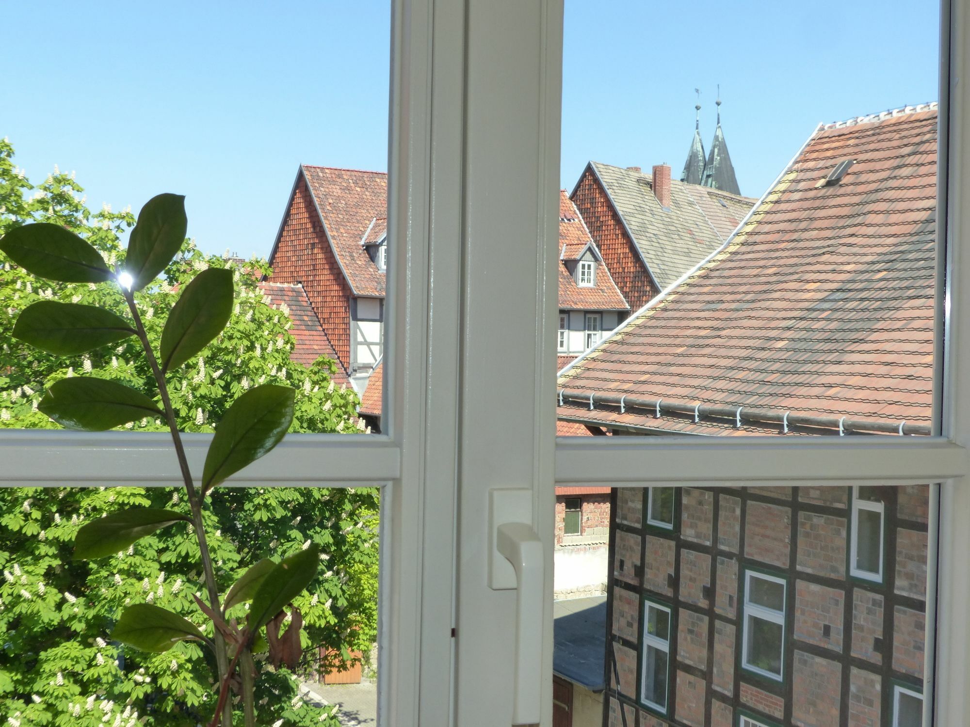 Hotel Zum Brauhaus Quedlinburg Esterno foto